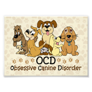 Impression Photo Trouble de la canine Obsessive de l'OCD
