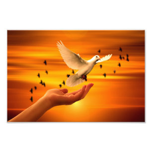 Impression Photo Trust God