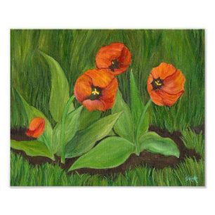 Impression Photo Tulipes à fleurs de pavot