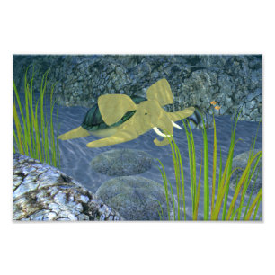 Impression Photo Turphant de natation