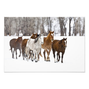 Impression Photo Un hiver pittoresque de course