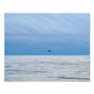 Impression Photo Un oiseau seul au-dessus de la mer brumeuse Photog