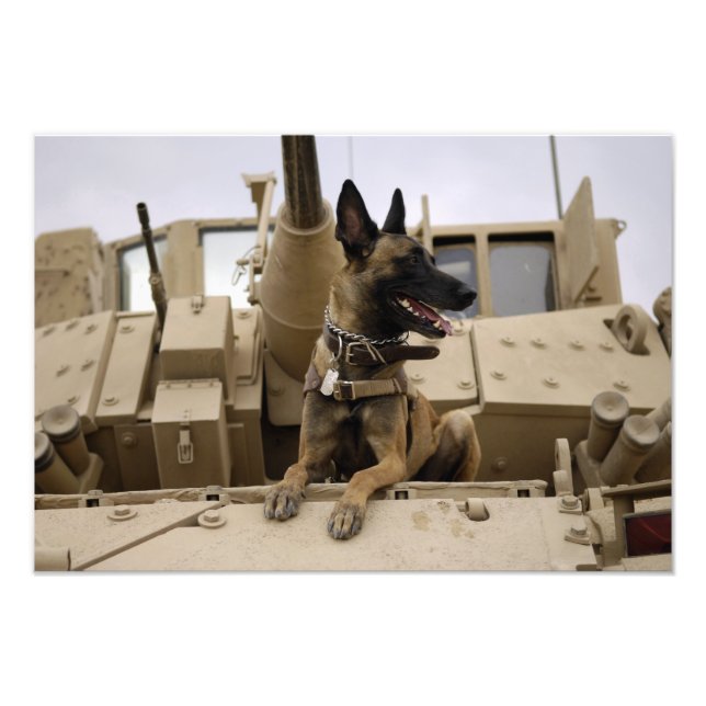 Impression Photo Un ouvrier militaire assis sur un M2A3 (Devant)
