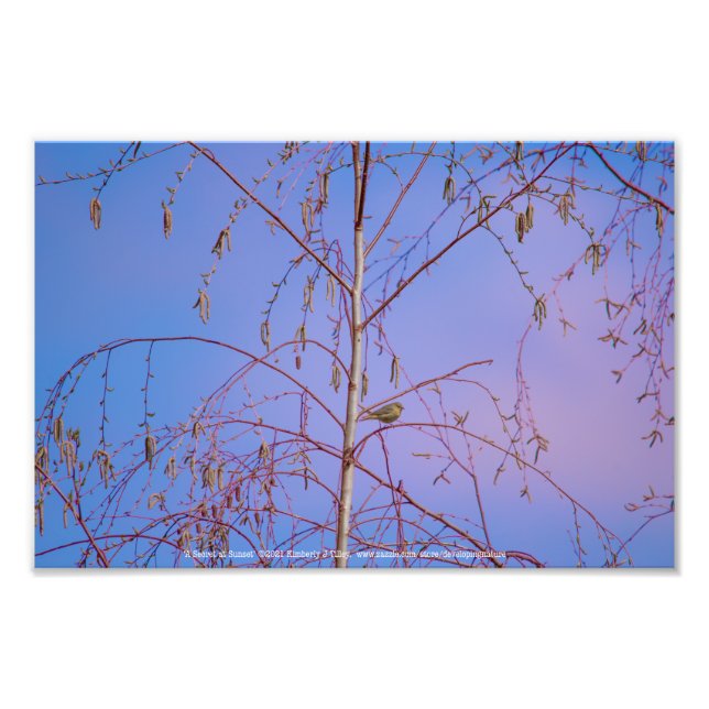 Impression Photo Un secret au coucher du soleil (Devant)