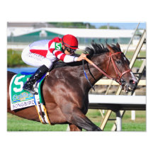 Une chanson parfaite