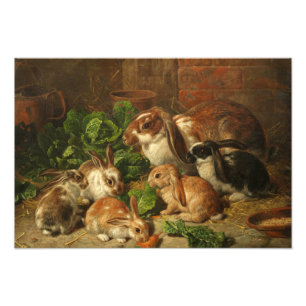 Impression Photo Une famille de lapins par Alfred Richardson Barber