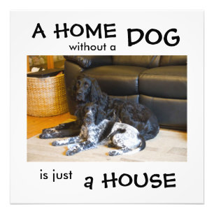 Impression Photo Une maison sans chien n'est qu'une maison - décora