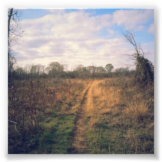 Impression Photo Une route moins fréquentée (Devant)