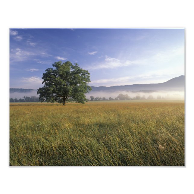 Impression Photo USA, Tennessee. Great Smokey Mountains 3 (Devant)