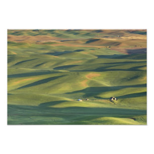 Impression Photo USA, WA, Whitman Co., Palouse Farm Fields from
