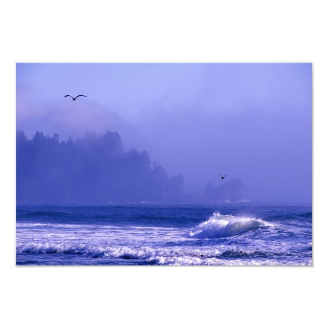 Impression Photo USA, Washington, Parc National Olympique. Brume (Devant)