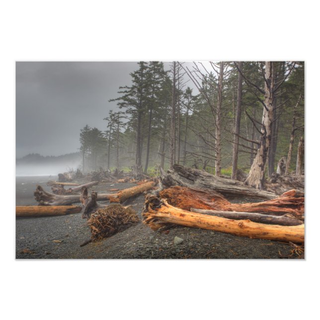 Impression Photo USA, Washington, Parc National Olympique, Rialto (Devant)