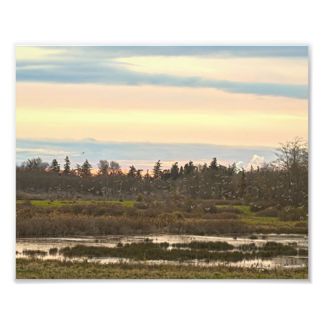 Impression Photo Vallée de l'île de Guemes, île de Guemes (Devant)