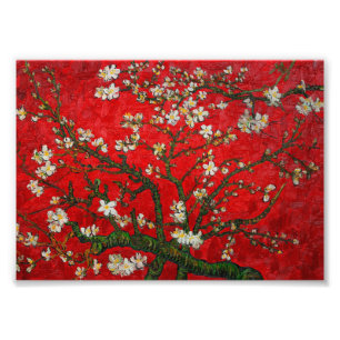 Impression Photo Van Gogh Almond Blossoms Rouge