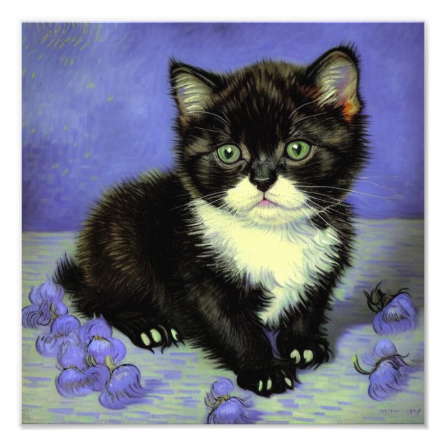 Impression Photo Van Gogh Tuxedo Kitten (Devant)