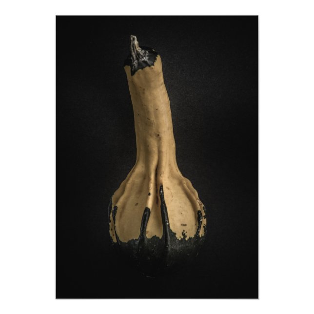 Impression Photo Version couleur Gourds No 5 (Devant)