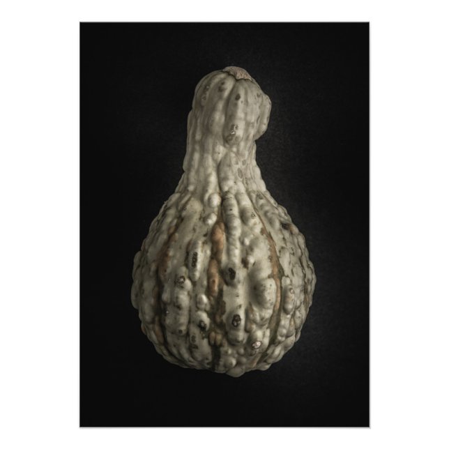 Impression Photo Version couleur Gourds No 8 (Devant)