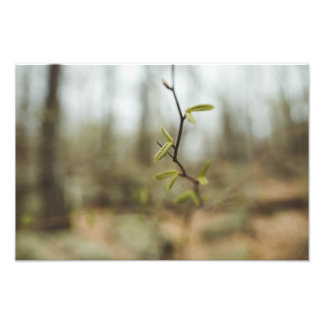 Impression Photo Vie verte