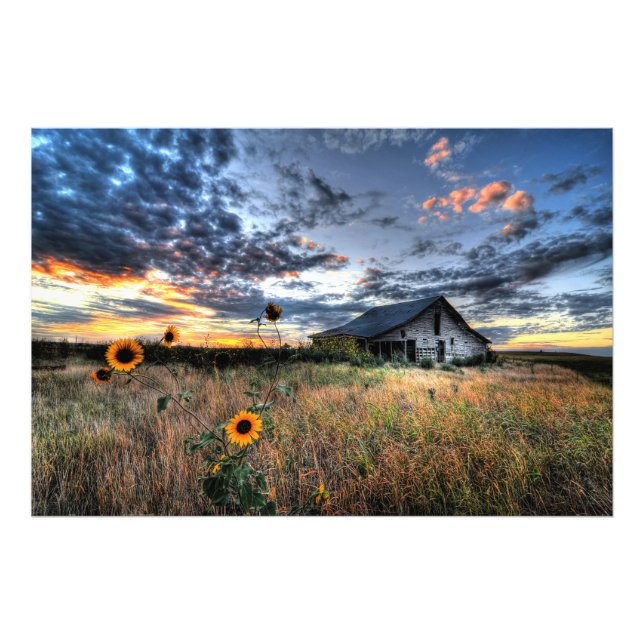 Impression Photo Vielle grange avec des tournesols au coucher du so (Devant)