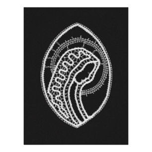 Impression Photo Vierge Marie bienheureuse catholique en dentelle b