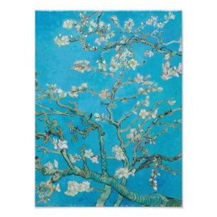 Impression Photo Vincent Van Gogh - Branches aux amandes en fleurs,