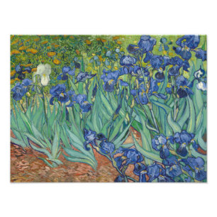Impression Photo Vincent van Gogh - iris