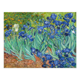 Impression Photo Vincent Van Gogh - Irises