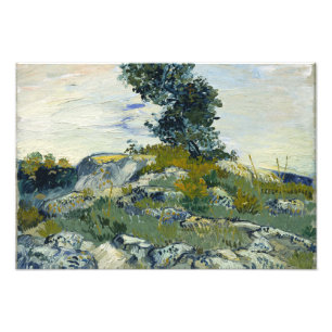 Impression Photo Vincent van Gogh - les roches
