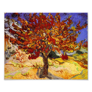 Impression Photo Vincent Van Gogh Mulberry Tree Fine Art Painting