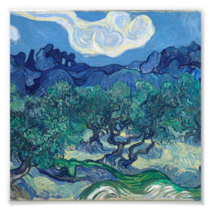 Impression Photo Vincent Van Gogh - Oliviers aux Alpilles