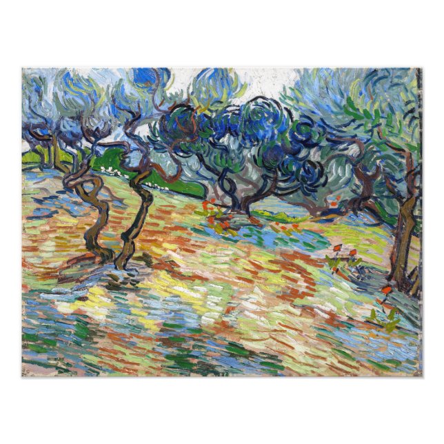 Impression Photo Vincent van Gogh - Oliviers : Ciel bleu vif (Devant)