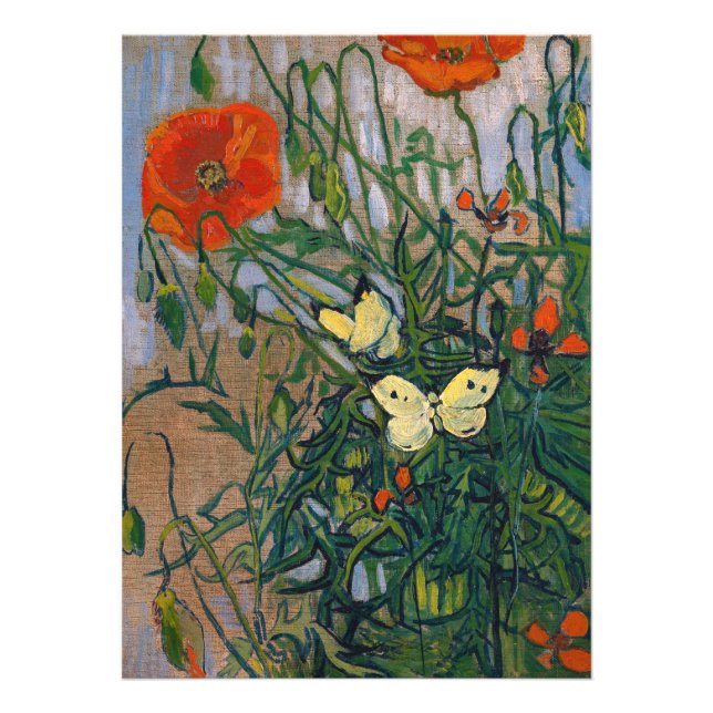 Impression Photo Vincent van Gogh - Papillons et papillons (Devant)