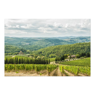 Impression Photo Vineyards landscapes in the morning in Chianti.