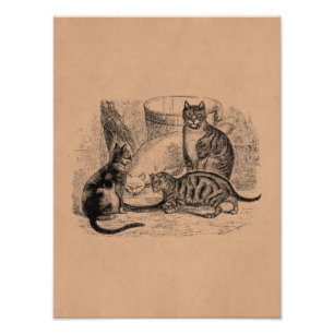 Impression Photo Vintage Barn Cats 1800s Modèle d'illustration de 