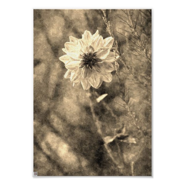 Impression Photo Vintage Dahlia (Devant)