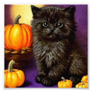 Impression Photo Vintage Halloween Kitten