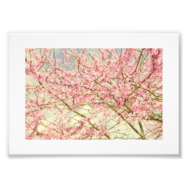 Impression Photo Vintage Printemps fleurs (Devant)