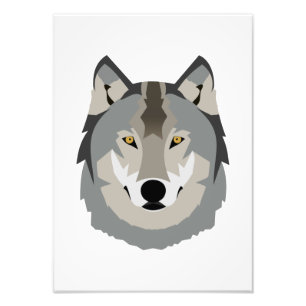 Impression Photo Visage de loup gris mignon et Cool, animal illustr