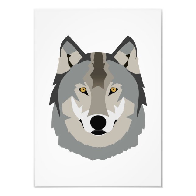 Impression Photo Visage de loup gris mignon et Cool, animal illustr (Devant)