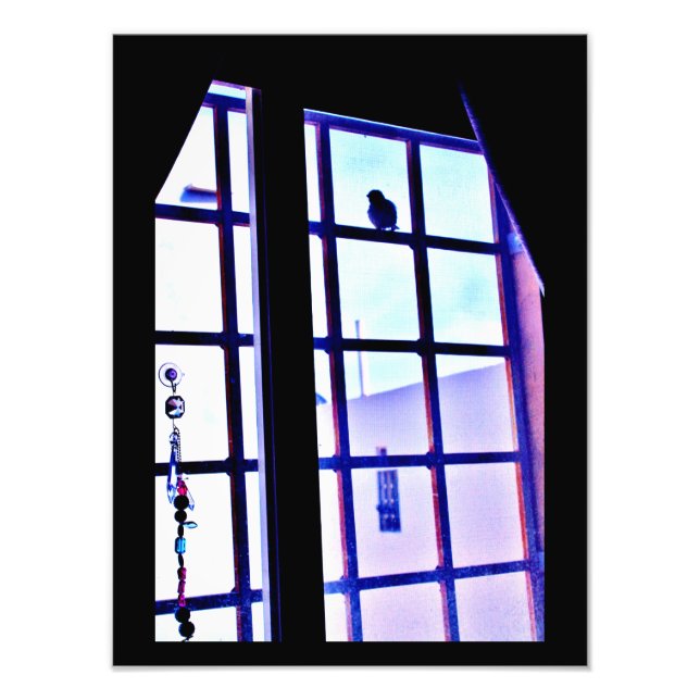 Impression Photo Visite spéciale (Devant)