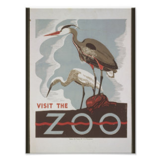 Impression Photo Visite vintage du zoo