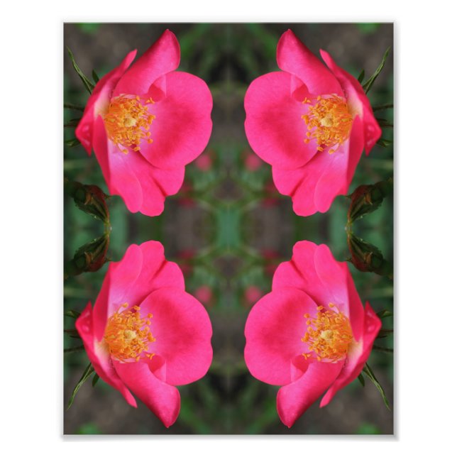 Impression Photo Vivid Pétales rose Abstrait Art Floral 8x10 (Devant)