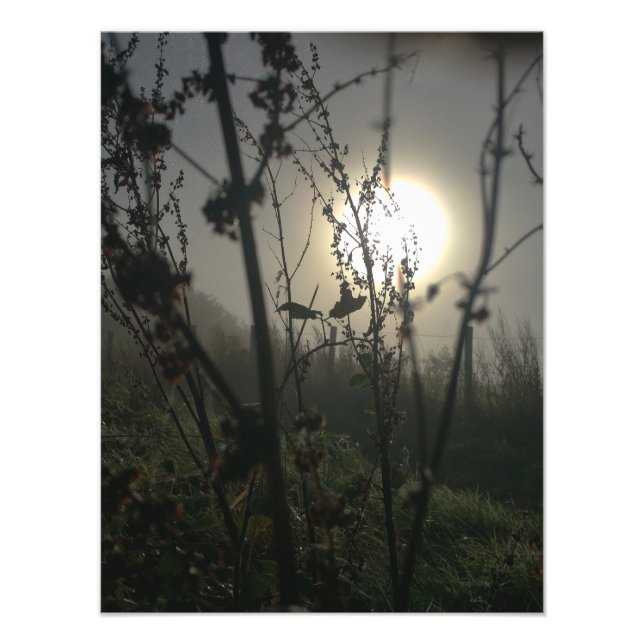 Impression Photo Voir grand dans petit (Devant)