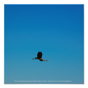 Impression Photo Volant