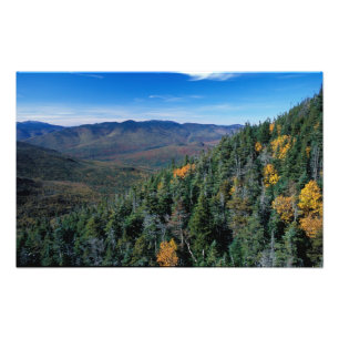Impression Photo White Mountain N.F., NH. La vue de près