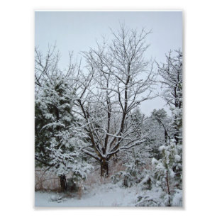 Impression Photo Winter Wonderland