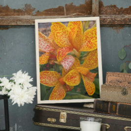 Impression Photo Yellow Canna Lily with Red Speckles Floral