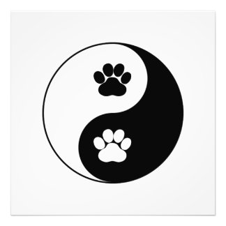 Impression Photo Yin Yang Chien Paw