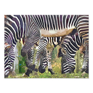 IMPRESSION PHOTO ZEBRAS