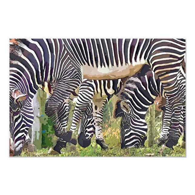 IMPRESSION PHOTO ZEBRAS (Devant)